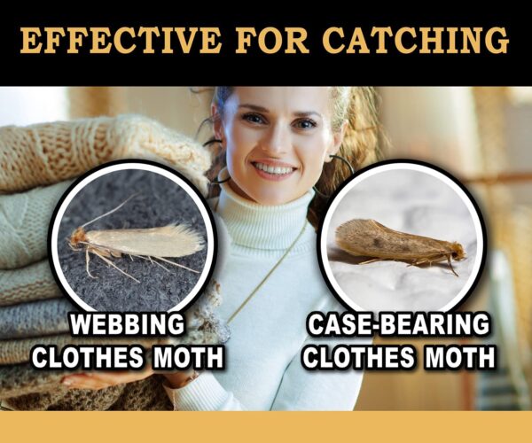 MaxGuard Clothes Moth Traps (6+2 Free Traps) with Extra Strength Pheromones | Non-Toxic Sticky Glue Trap for Closets and Carpet Moths | No Mothballs | Lure, Trap and Kill Case-Bearing Webbing Moths | - Image 2