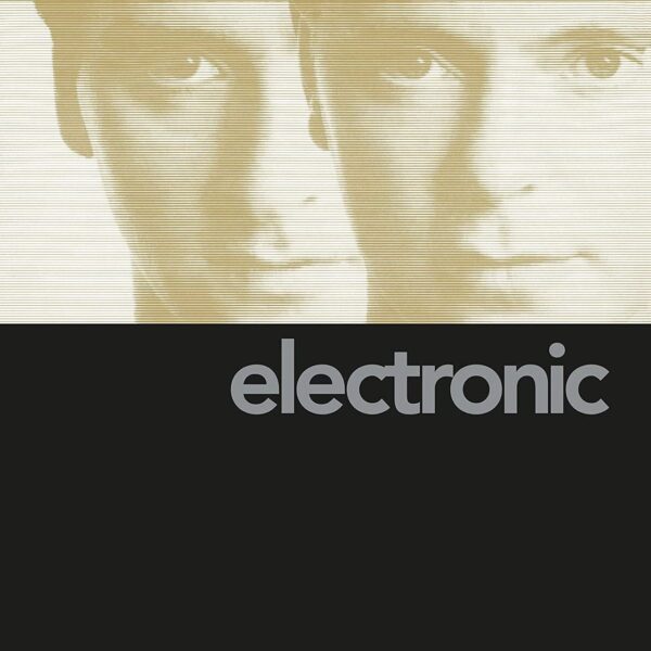 Electronic 2013